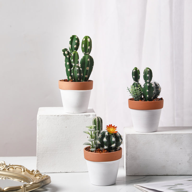 Mini Faux Cactus Decor