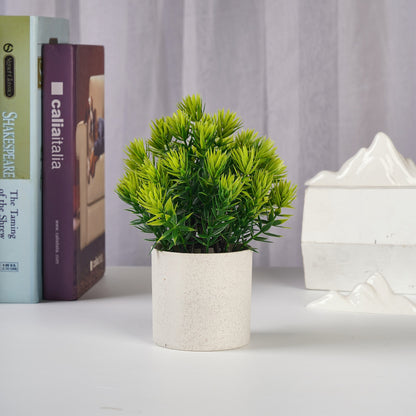 Mini Faux Podocarpus Pot