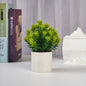 Mini Faux Podocarpus Pot