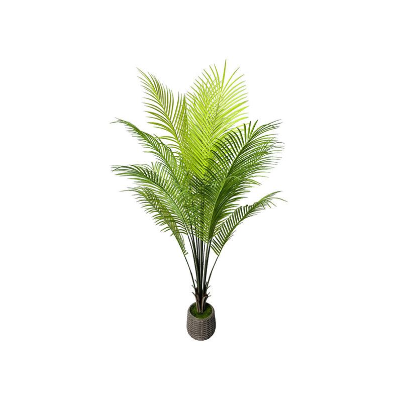 5' Faux Pygmy Date Palm Tree