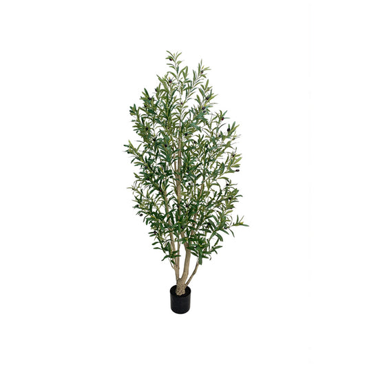6' Lush Faux Olive Trees