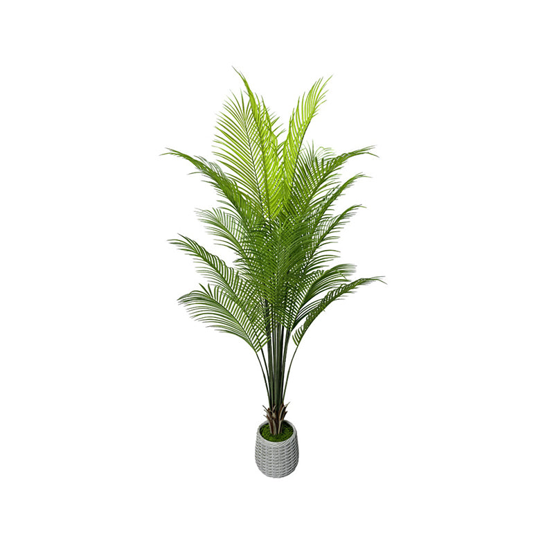 6' Faux Pygmy Date Palm Tree