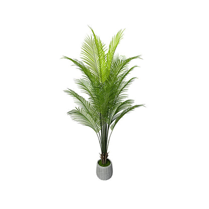 6' Faux Pygmy Date Palm Tree