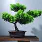 Mini Faux Welcome Pine