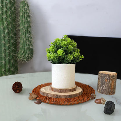 Faux Sedum sarmentosum Pot
