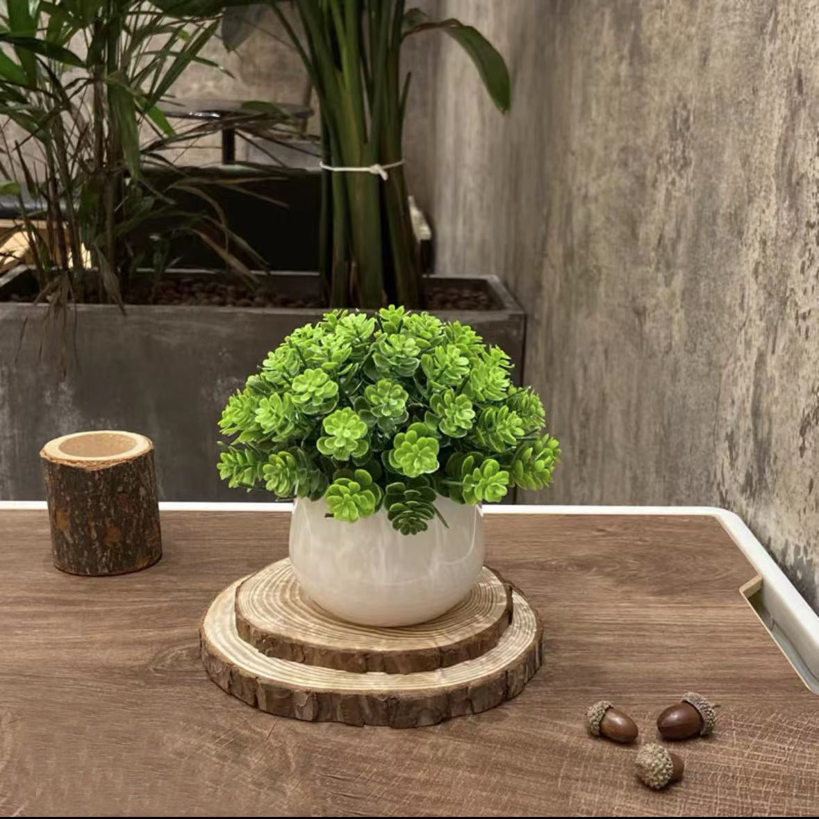 Mini Faux Coin Leaf Sedum