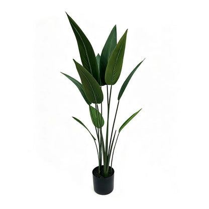 4' Bird of Paradise
