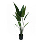 4' Bird of Paradise