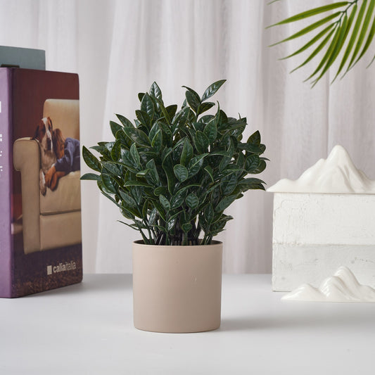 Mini Faux ZZ Plant
