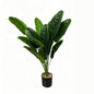 30" Faux Traveler Palm, 18 Pure Green Leaves