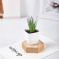Mini Faux Thin Leaf Aloe Succulents