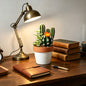 Mini Faux Cactus Decor