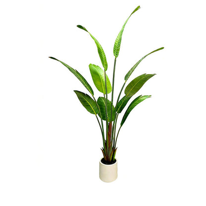5.2' Satin Cloth Traveler's Palm