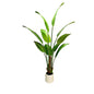 5.2' Satin Cloth Traveler's Palm