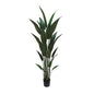 6' Bird of Paradise