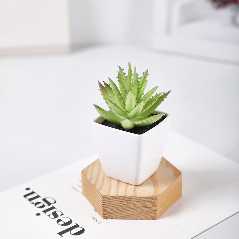 Mini Faux Sawtooth Aloe Succulents
