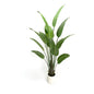 6' Colored Stem Satin Cloth Traveler's Palm