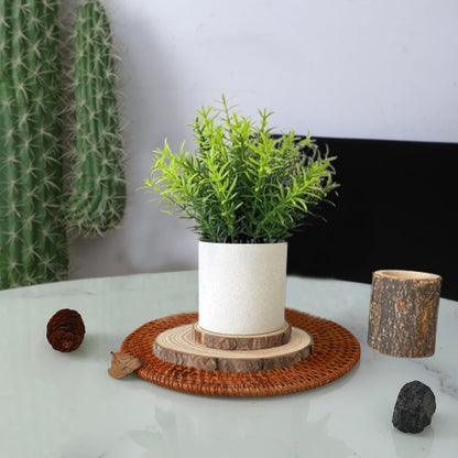 Faux Asparagus Fern Decor