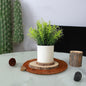 Faux Asparagus Fern Decor
