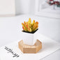 Mini Faux Finger Shaped Succulents