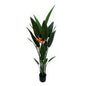 5' Bird of Paradise With 1 Flower