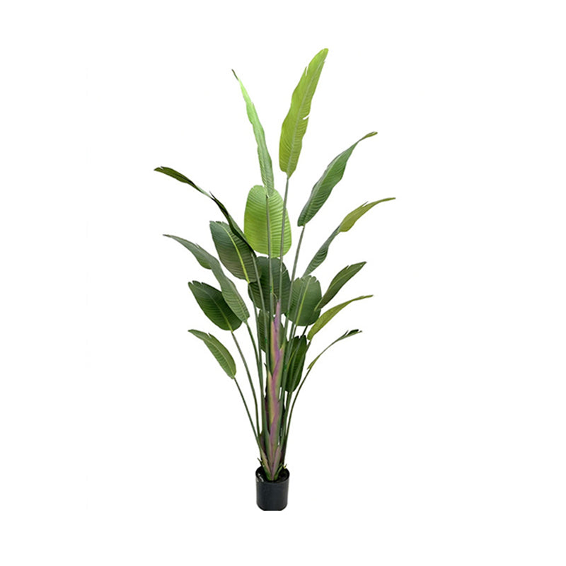 8' Colored Stem Satin Cloth Traveler's Palm