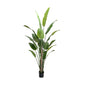 8' Colored Stem Satin Cloth Traveler's Palm