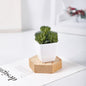 Mini Faux Double Petal Succulents