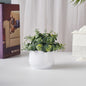 Mini Faux Eucalyptus Desk Decor