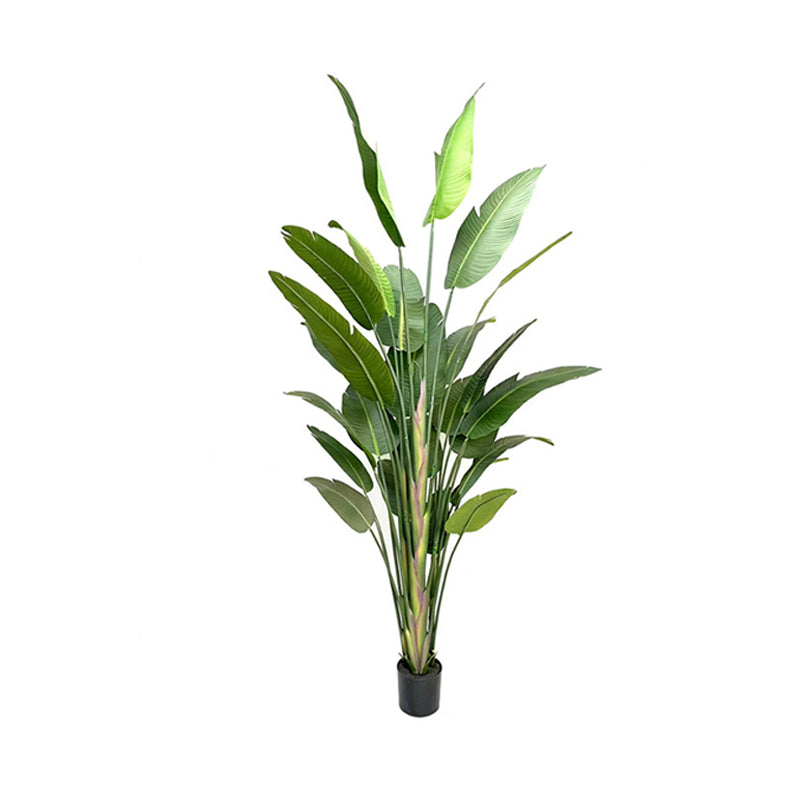 9' Colored Stem Satin Cloth Traveler's Palm
