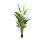 9' Colored Stem Satin Cloth Traveler's Palm