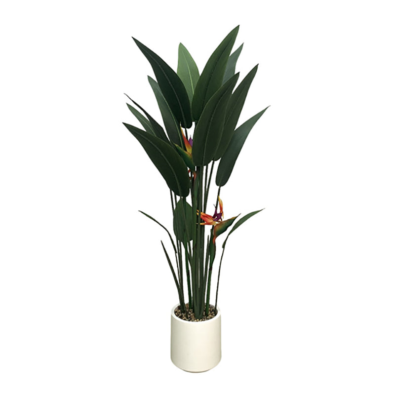 4' Bird of Paradise With 3 Flowers