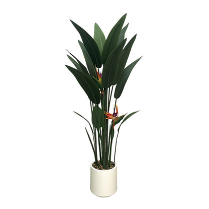 4' Bird of Paradise With 3 Flowers