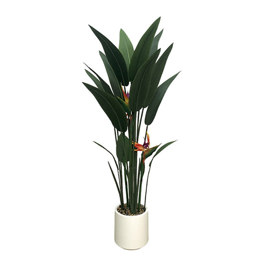 4' Bird of Paradise With 3 Flowers