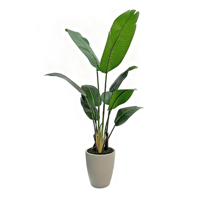 4' PVC Film Traveler's Palm