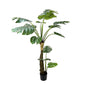 5' Faux Two-Stem Monstera Plant