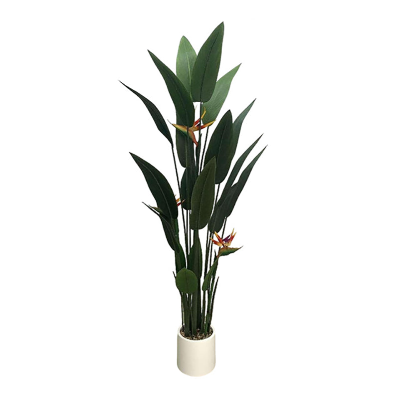5.2' Bird of Paradise With 3 Flowers