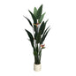 5.2' Bird of Paradise With 3 Flowers