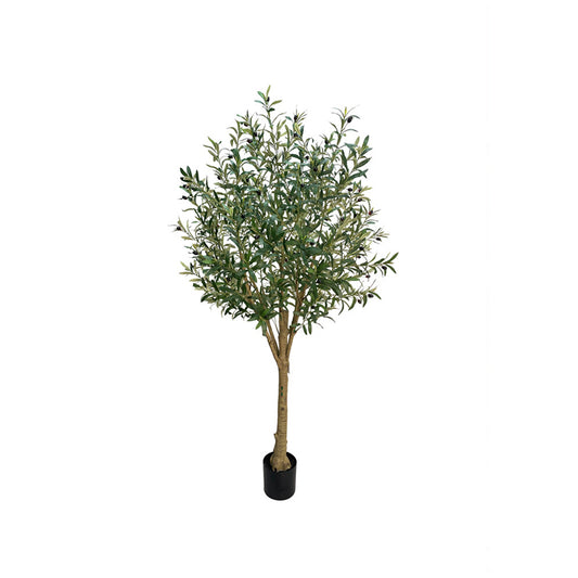 7' Advanced Faux Olive Trees