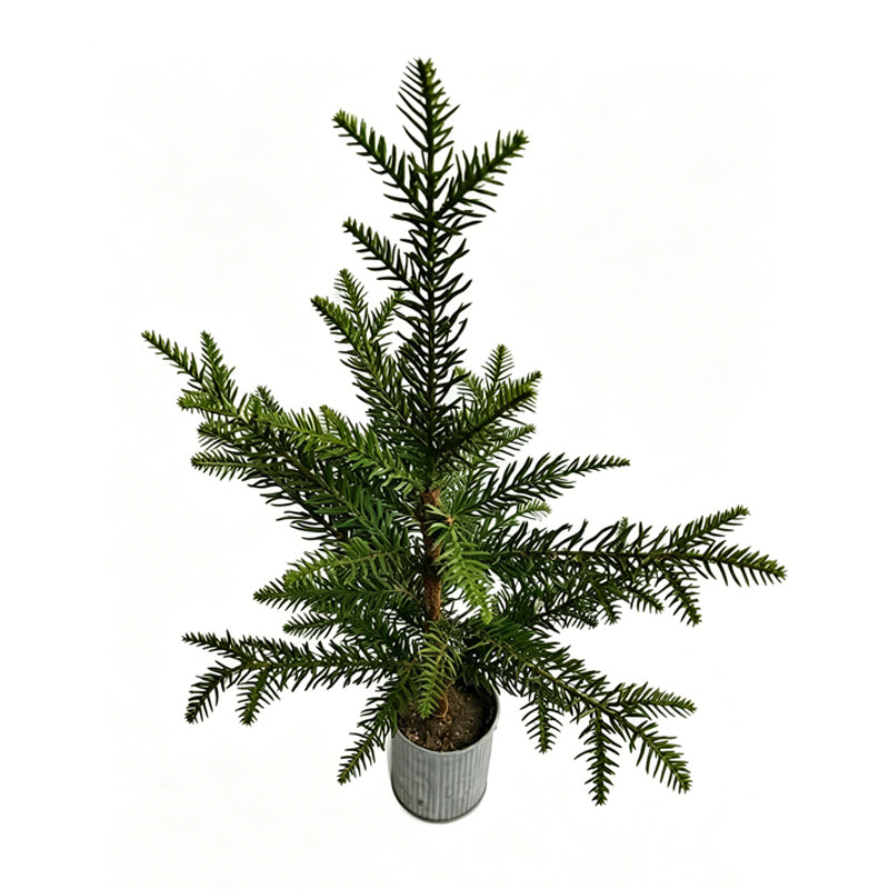 20" Faux Basic Mini Christmas Tree (No Snow Flocking)