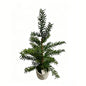 23" Faux Basic Mini Christmas Tree (No Snow Flocking)