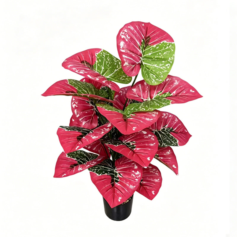30" Faux Red Variegated Caladium