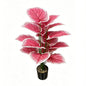 30" Faux Blush Pink Heart Caladium