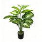 30" Faux White Vein Green Caladium Plant