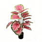 30" Faux Pink Heart Caladium Plant