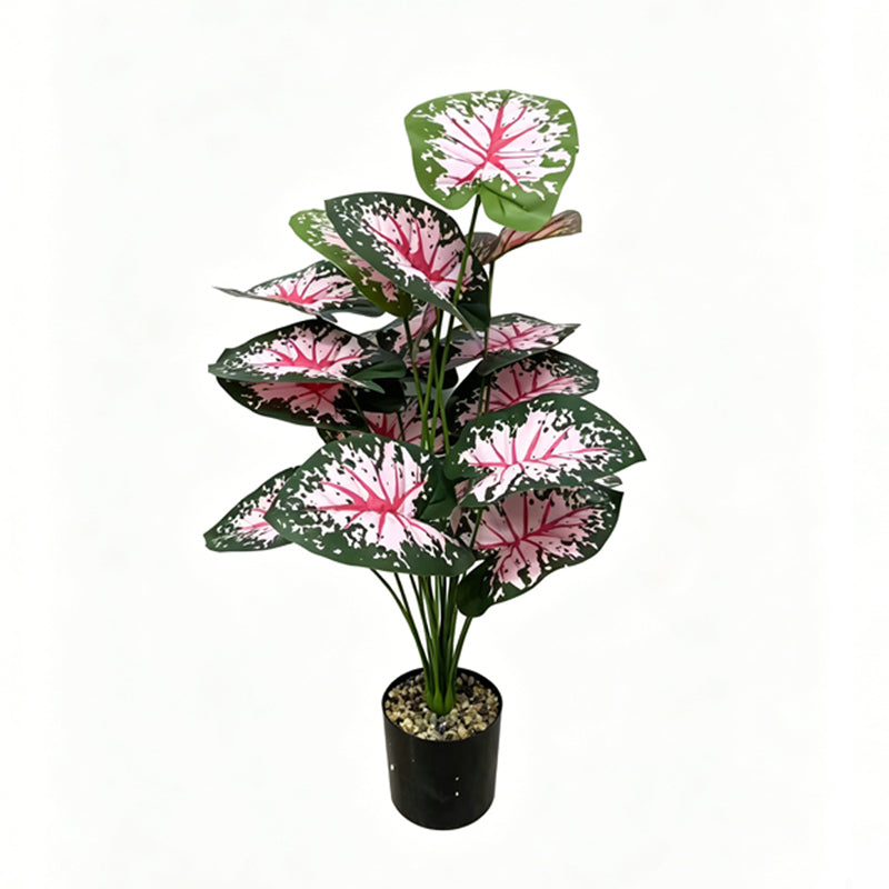 30" Faux Red Vein White Speckled Caladium