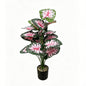 30" Faux Red Vein White Speckled Caladium