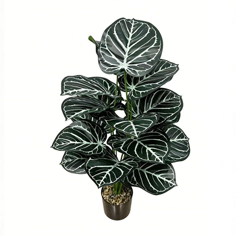 30" Faux Dark Green White Vein Caladium