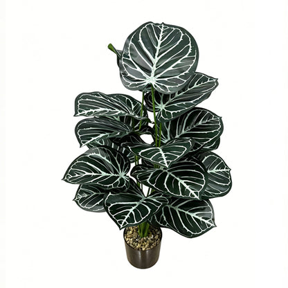 30" Faux Dark Green White Vein Caladium