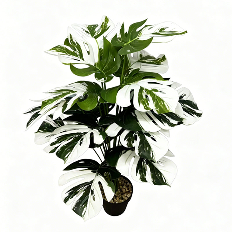 30" Faux White Green Variegated Monstera